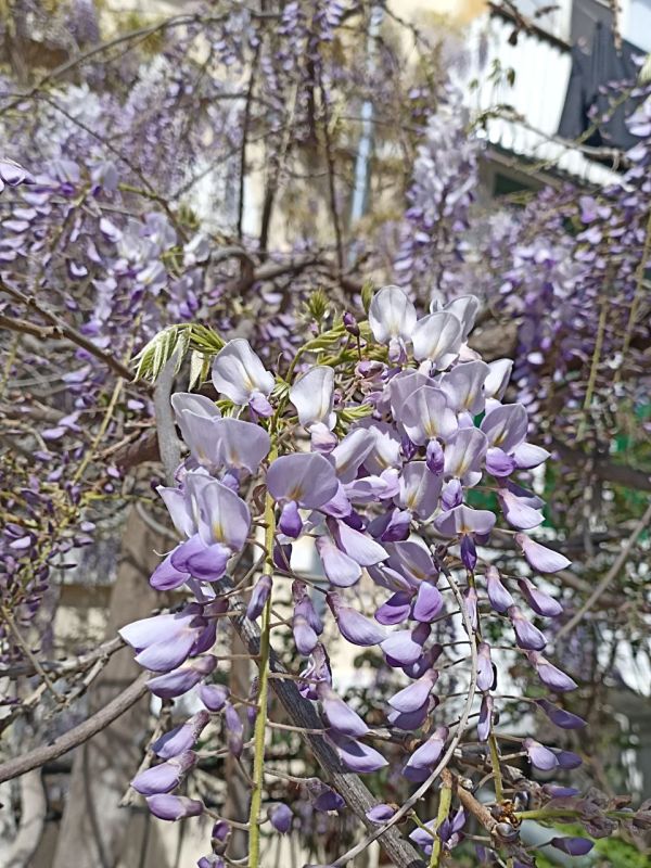 #��� ��� ������?. ����� ����������� �� �� �����: � ������� ���� � ������� �������� ���� ������ ������� �������� ��������