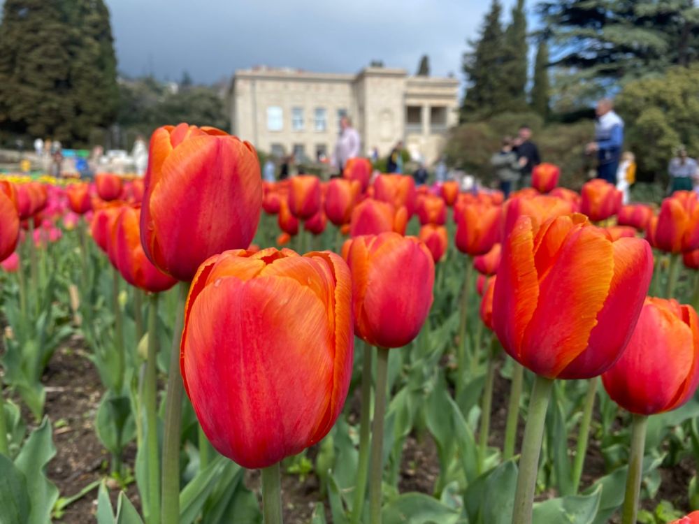 Прогноз погоды в Крыму на 26 апреля