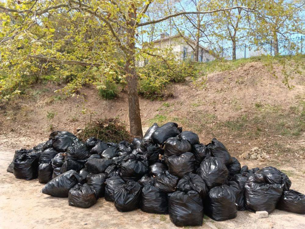 �������� ��������: ������� ���������� �������� ����������� � ������������� �����������, ������������� � �������� ����� N 50 ��������� ������ ���������� ������ ���� � ������ ����� �������� �������� � ������ ��������������...