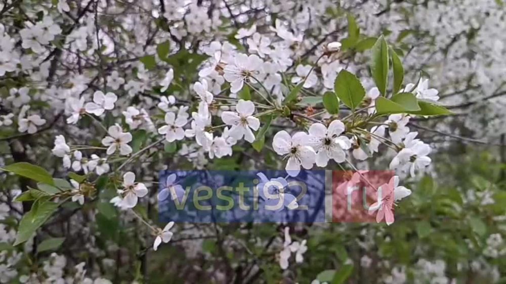 Доброе утро, Севастополь! Ну что же....впереди прекрасные выходные