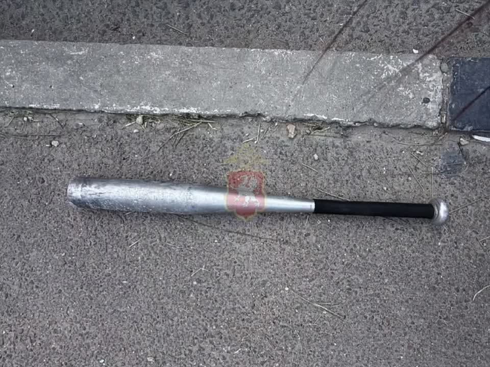 В Севастополе полицейские задержали водителя, разбившего бейсбольной битой чужой автомобиль