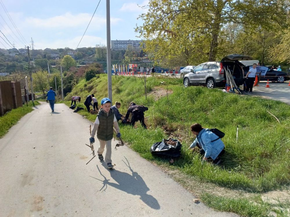 �������� ��������: ������� ���������� �������� ����������� � ������������� �����������, ������������� � �������� ����� N 50 ��������� ������ ���������� ������ ���� � ������ ����� �������� �������� � ������ ��������������...