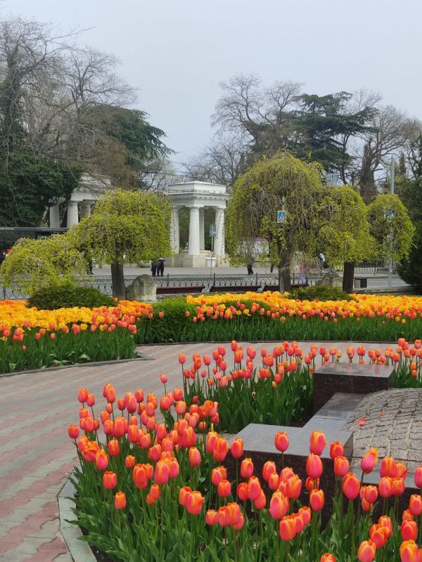 С добрым субботним утром. В Севастополе синоптики обещают днем небольшой дождь