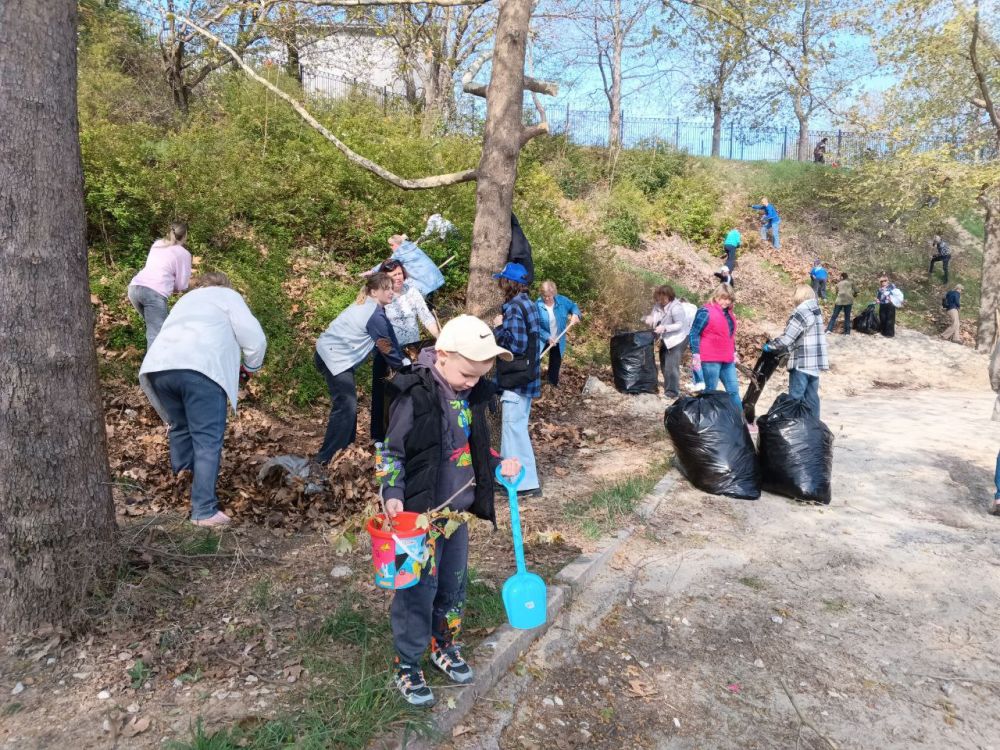 �������� ��������: ������� ���������� �������� ����������� � ������������� �����������, ������������� � �������� ����� N 50 ��������� ������ ���������� ������ ���� � ������ ����� �������� �������� � ������ ��������������...