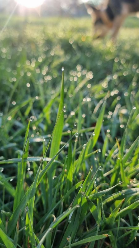 В Севастополе переменная облачность, ночью без осадков, днем небольшой дождь