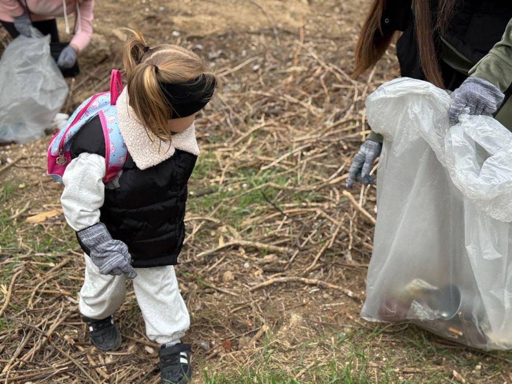 ������� �����: ������� ������� � ������� �������� ������������� ����������