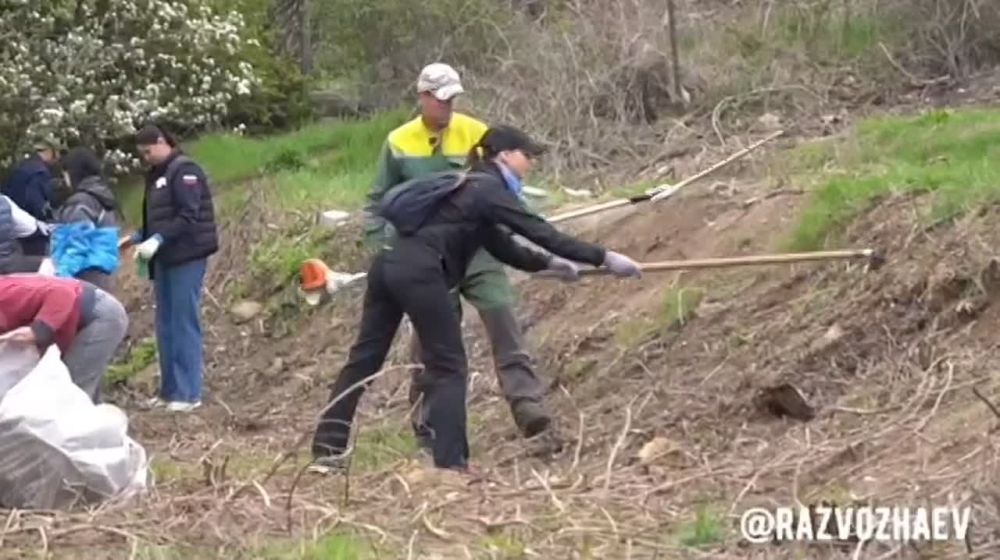 ����� ���: � ����������� ������ ������ �������� ������������� ���������