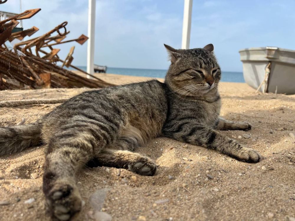 ������ ����! ������� ��������� ������� ���������� ����������