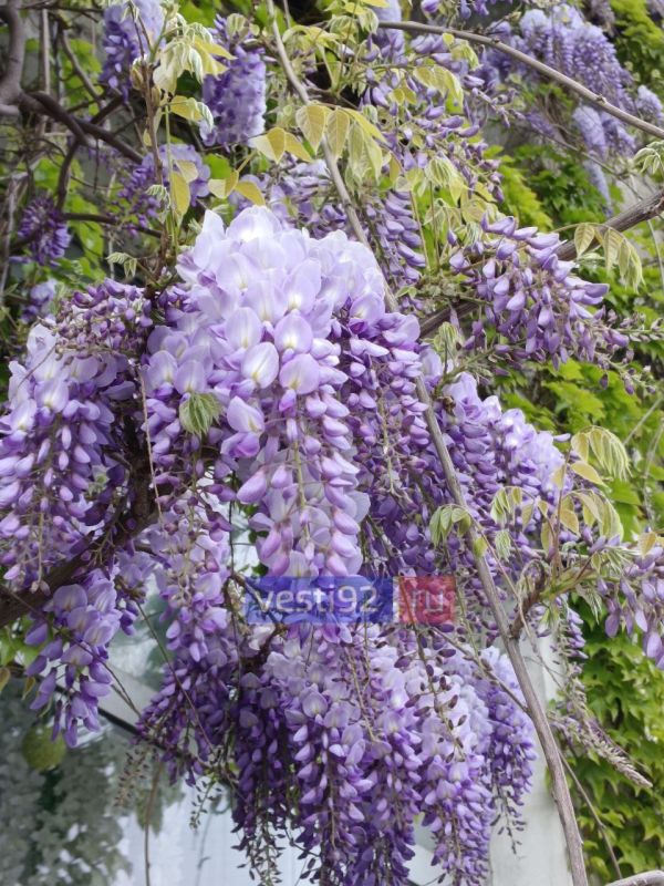 ������ ����! ������� ��������� ������� ���������� ����������