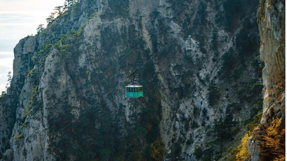 � 2025 ���� �������� ������ �� ��-����� �������� � 09:00 �� 18:00