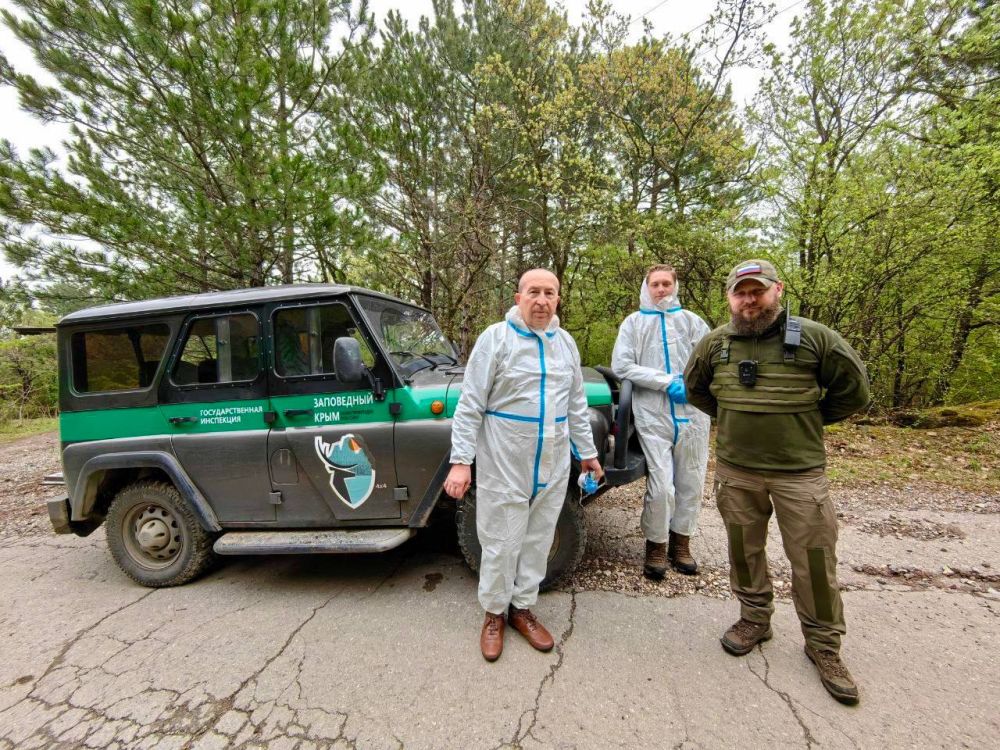 � ����� ���������� ����������� ����������� ��������� ����������� ������� - ������� ������ ��������� ��� ����� ��������