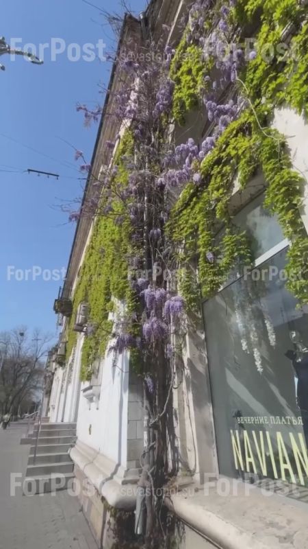 �� ������ ����������� ������ ������ ���������-��������