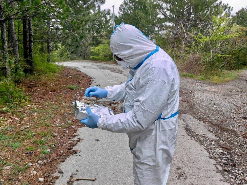 � ����� ���������� ����������� ����������� ��������� ����������� ������� - ������� ������ ��������� ��� ����� ��������