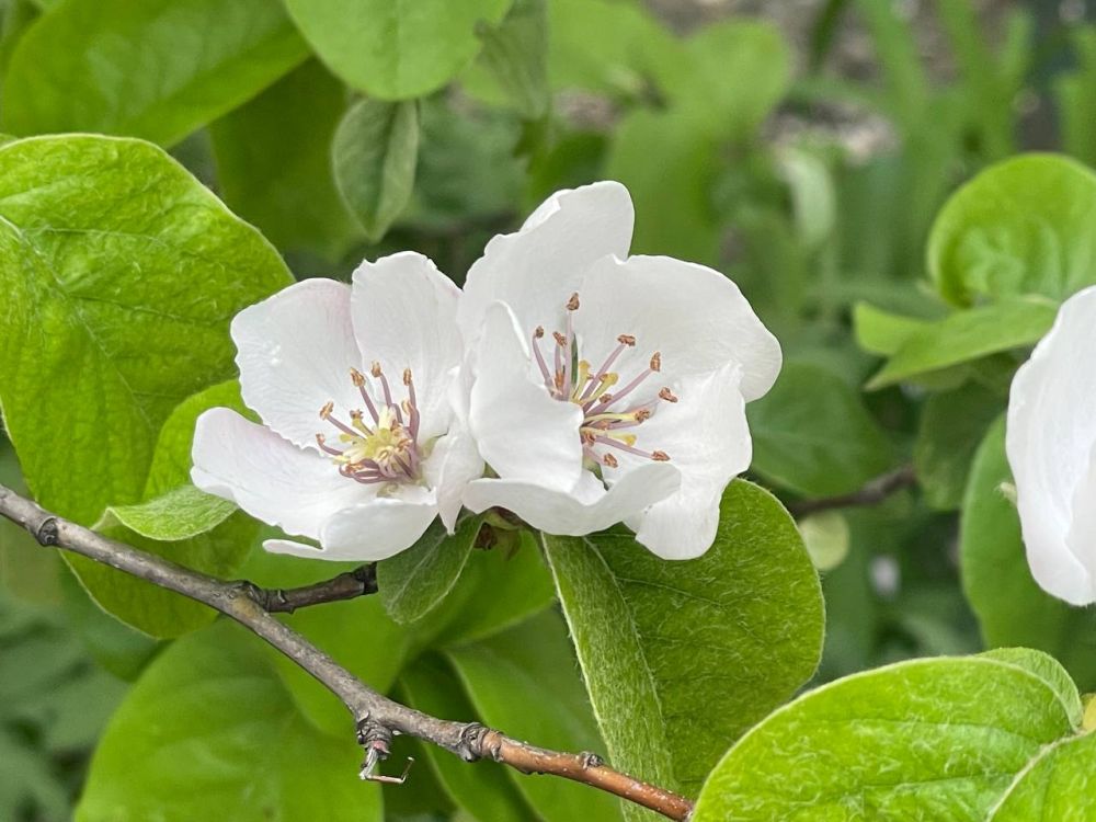 ������� ������ � ����� �� 27 ������