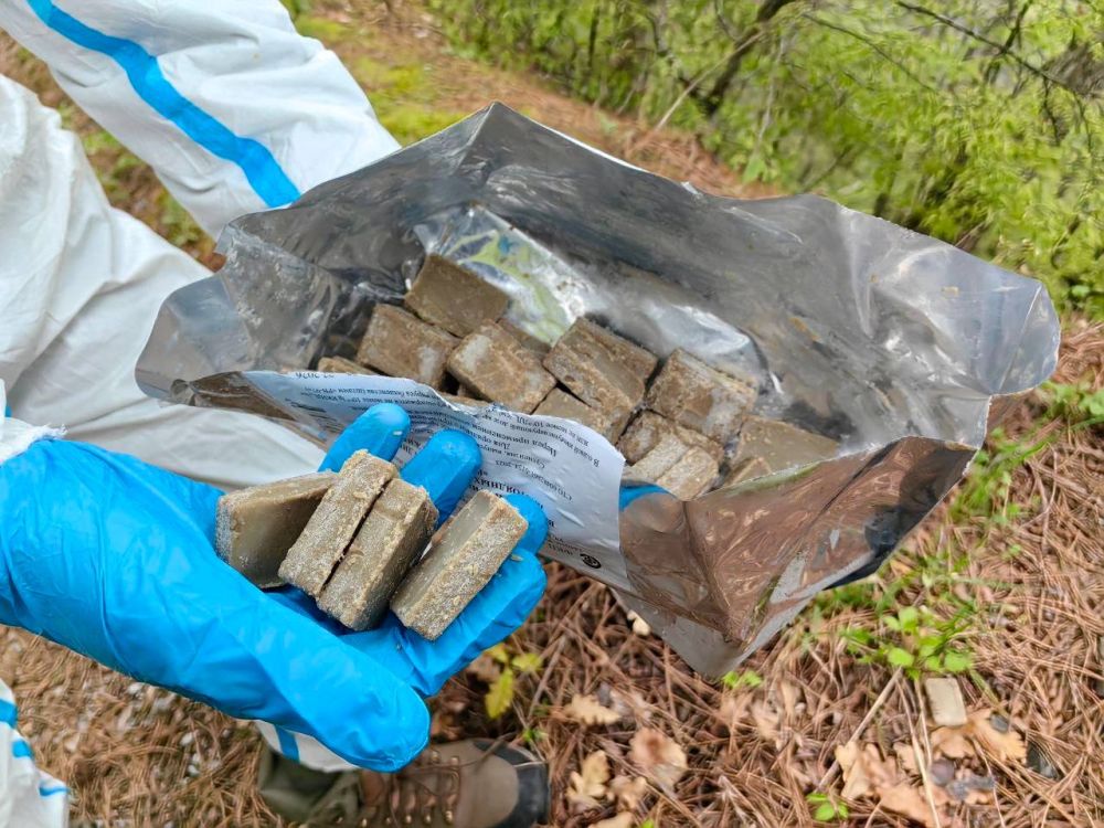 � ����� ���������� ����������� ����������� ��������� ����������� ������� - ������� ������ ��������� ��� ����� ��������