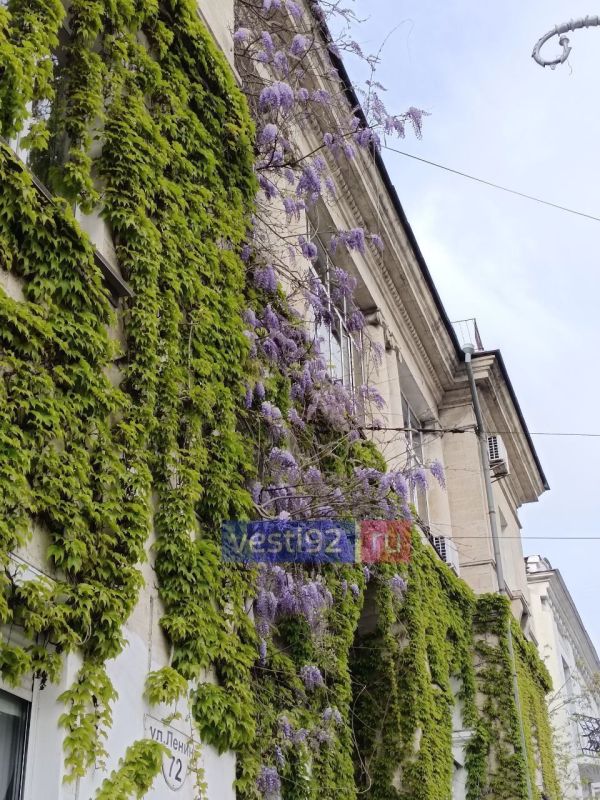 ������ ����! ������� ��������� ������� ���������� ����������