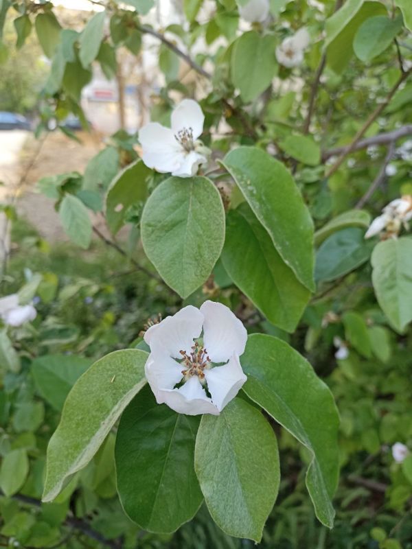 #��� ��� ������?. �������, ������ ��������, �����