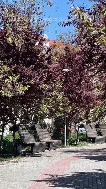 ���� �� ��������� ��������� ����������� ��������� �� ������� ��������