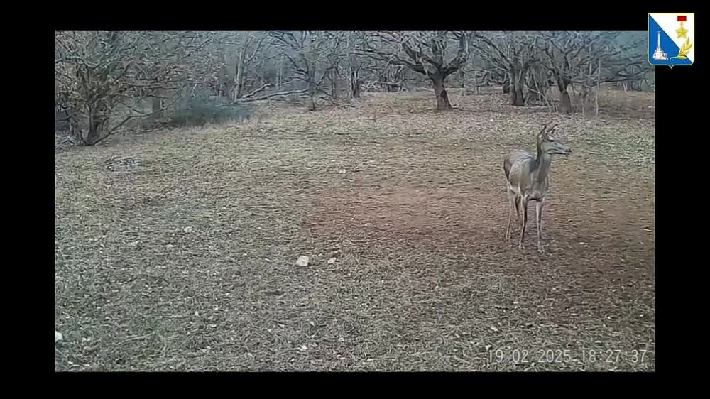 ������ � ��������� ������ ������ � �������� ����������� � �����������