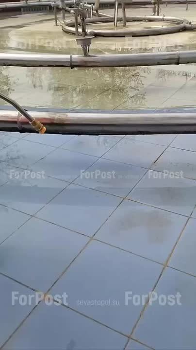 � ����� ������ ������� �� ������ ������ �������