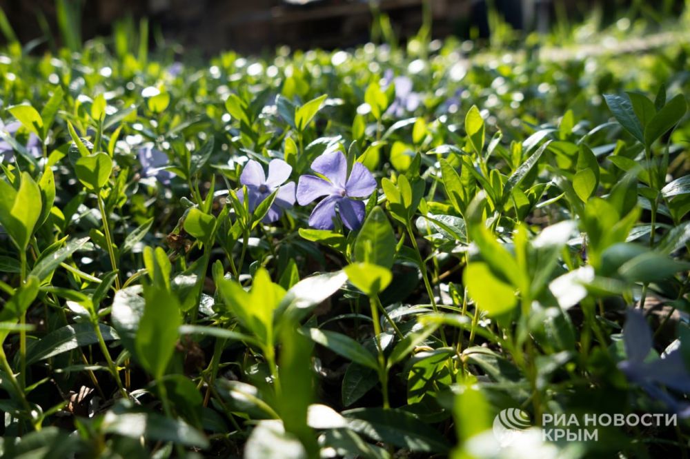 ������� ������ � ����� �� �����������