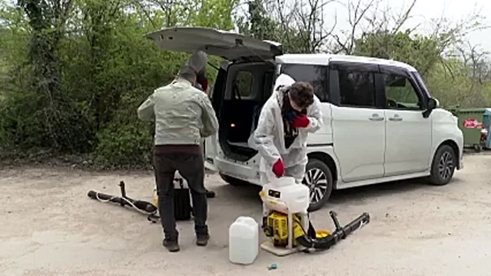 � ����������� �������� �������� ��������� ��������������� ��� �� ������