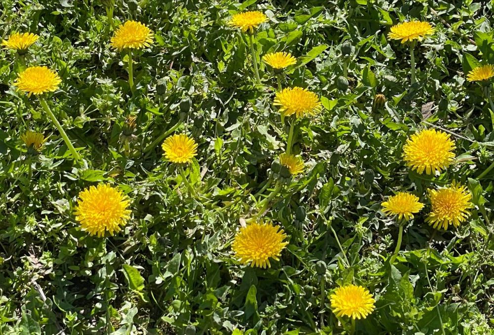 ������� ������ � ����� �� 28 ������