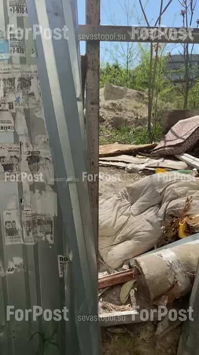 #���_�����. ���������� �� ����� �������� ����� ����� 61, ��� ����� ����� ������� 10-������, ������������ � ������