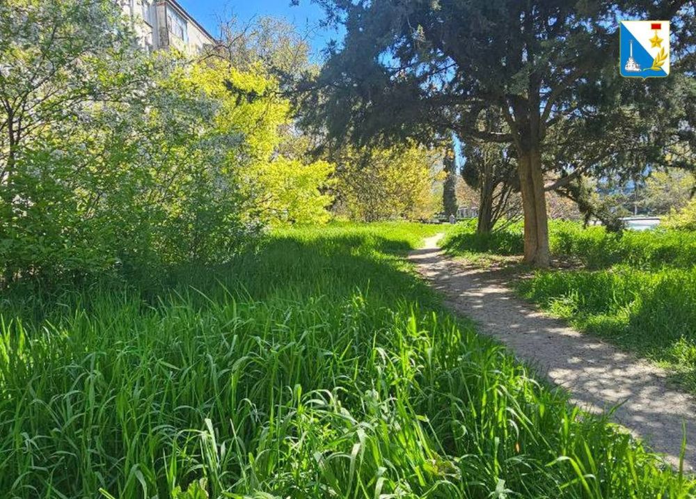 ������� � ��������������� �������� ������������� ��������������� ������ ������������� ������������