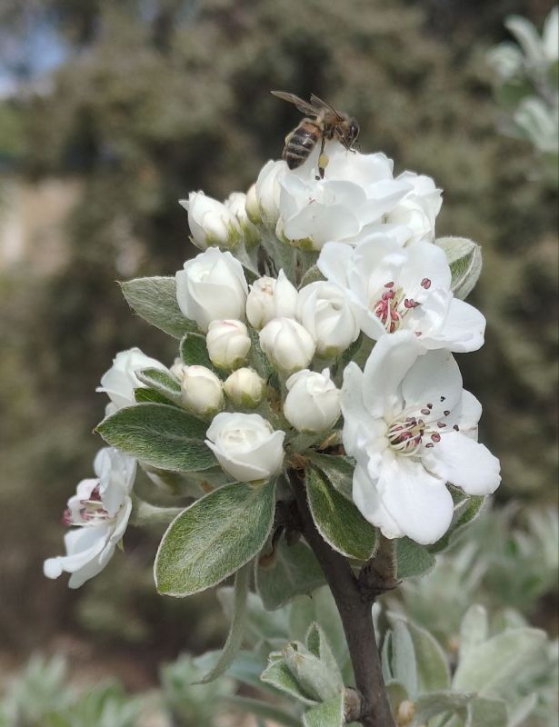 � ������ �����, ������!. � ����������� ��� �������