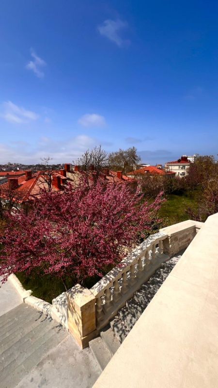 � ����������� ���������� ����������, ��� �������