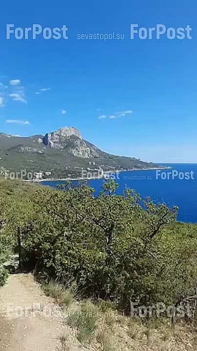 ����� ������ � ����������� ������� ���� ����������, �� �����