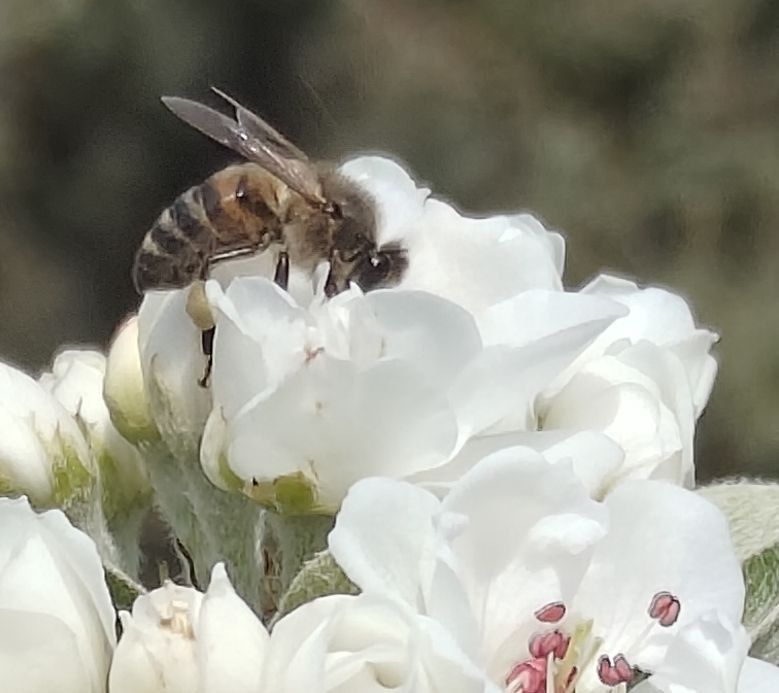 � ������ �����, ������!. � ����������� ��� �������