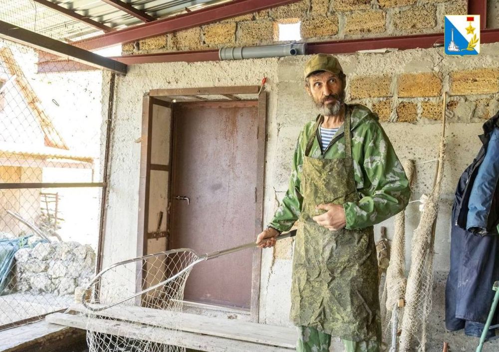 ����������� ���� � �������� ��� ��������� ������ ����� ��������� ������������