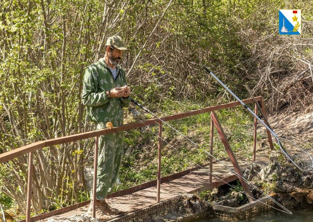 ����������� ���� � �������� ��� ��������� ������ ����� ��������� ������������