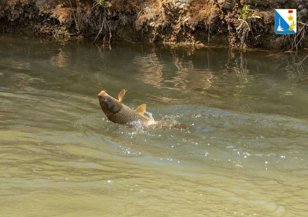 ����������� ���� � �������� ��� ��������� ������ ����� ��������� ������������