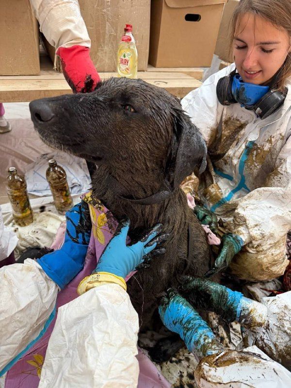 ��������� ������ ������, ������������ � �������� ����� ����������� ��������� �������� �������