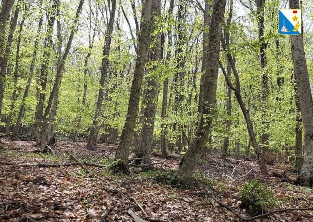 ���������� ����������������, ��� ����������� ��������� ���� � ������� ��������� � ��� ������ �������� ��������������������� ��� ����� �������� ������� ��������������� �����