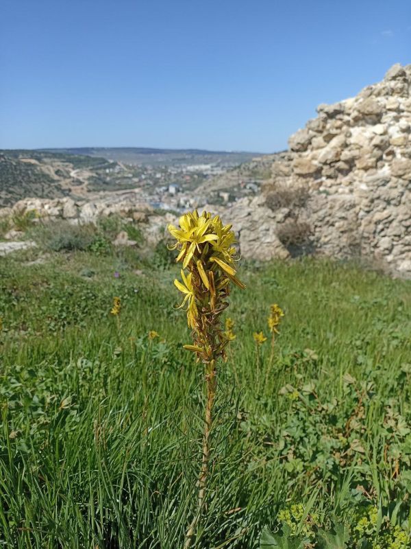 #��� �� ��������?. ������ ������ � ��� ��������� ��������, ��������� � ������ �����, ������� ��������� ��� �������� ��������� �����