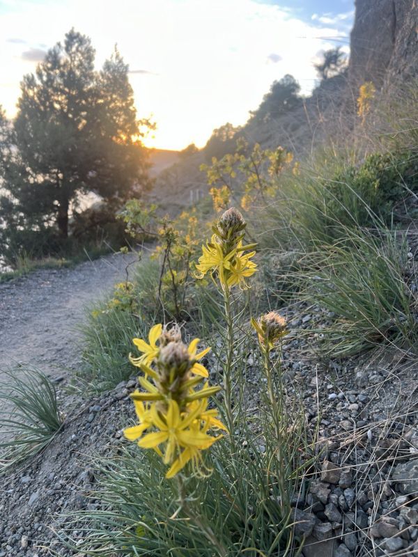 #��� �� ��������?. ������ ������ � ��� ��������� ��������, ��������� � ������ �����, ������� ��������� ��� �������� ��������� �����