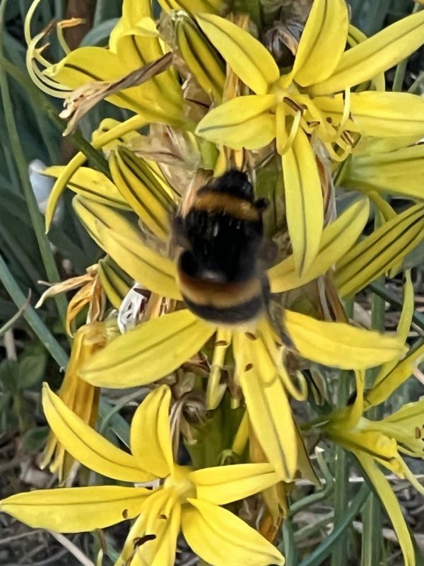 #��� �� ��������?. ������ ������ � ��� ��������� ��������, ��������� � ������ �����, ������� ��������� ��� �������� ��������� �����