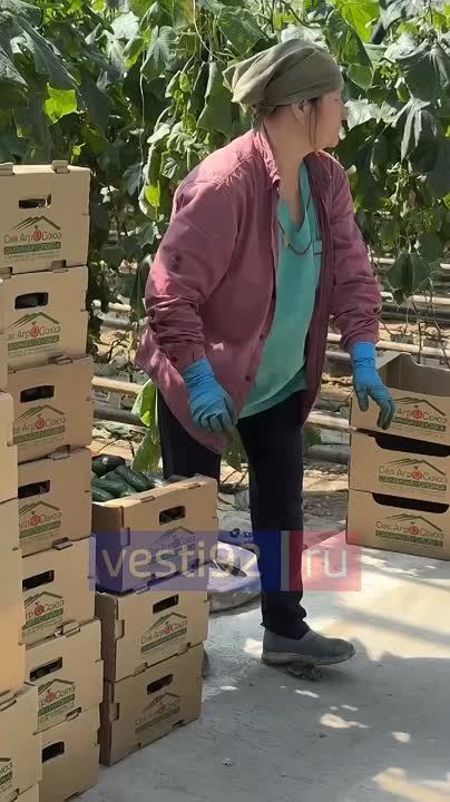 ����� ������ ������� ������� � ��������, ��������� ������� �������� �������� �� ���������� ����� ������ �� ������������� �����������