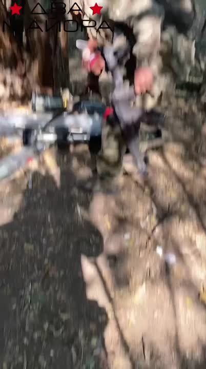 ��� ������: ������� �����������. ������� �� 810-� ����������� ������� (�����������) ������ ������ � �������, ��� � ��� ����������� ��������� ���������� �������� ���� �����