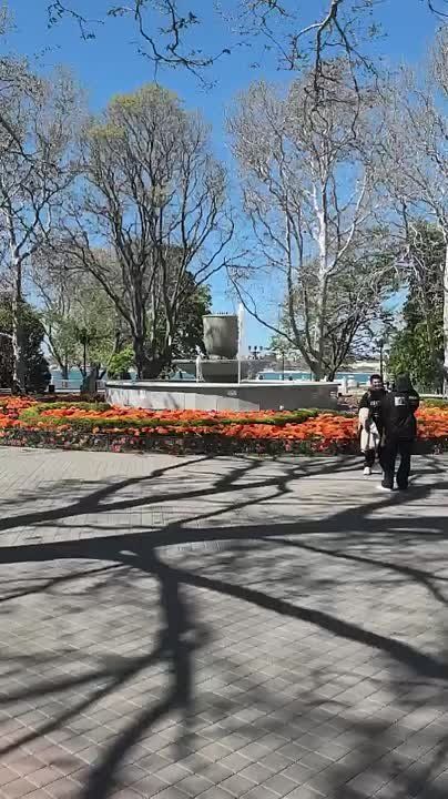 � 1 ��� � ����������� ������ �������� �������