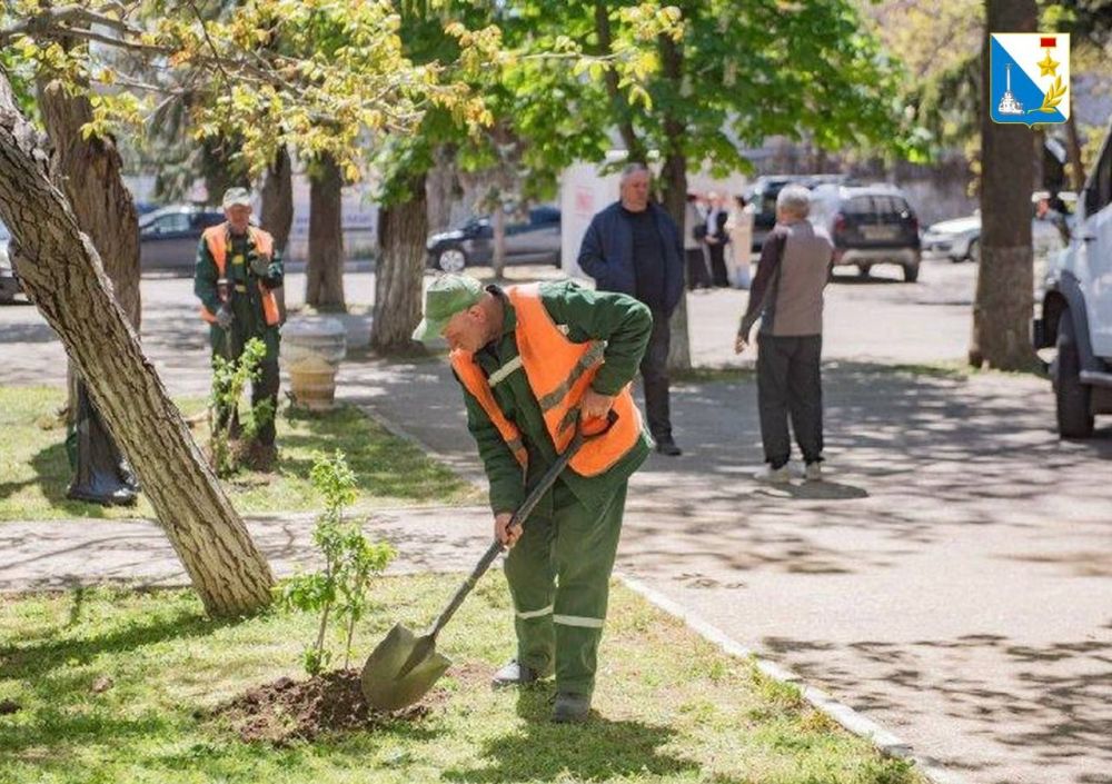 � ������ ������ ���� �������� ������� ����������