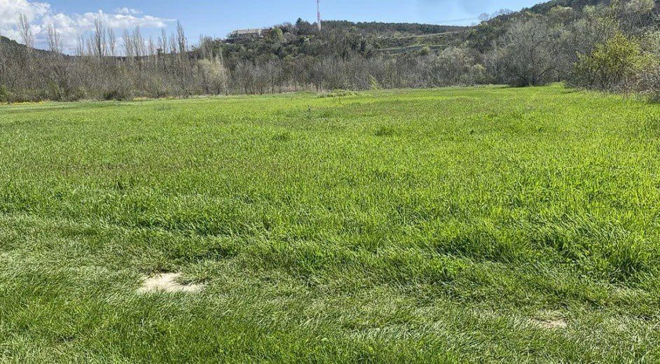 ����� � ��������� ������ ����������� ����� � ������ ������������