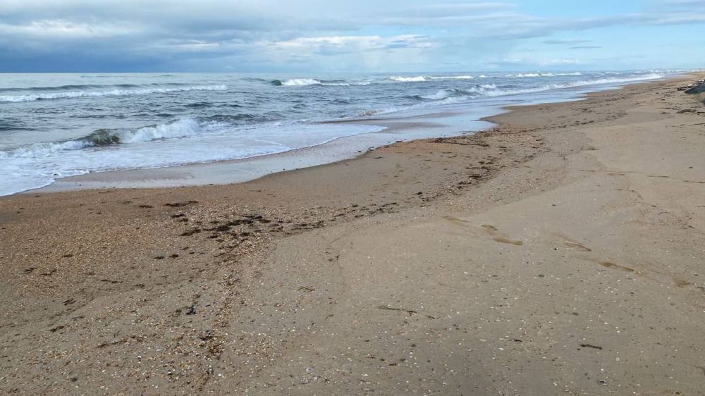 ��������!!���������� �������� � �������� ������ �� �����!