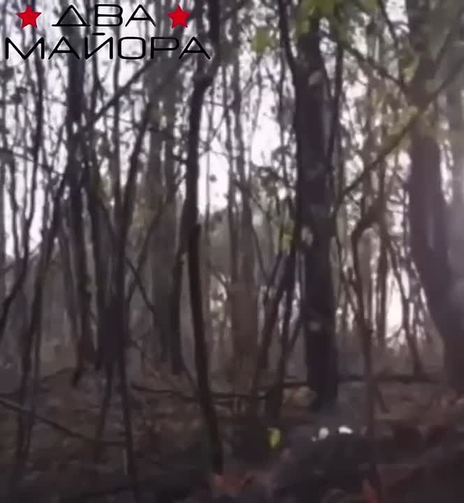 ��� ������: ������� �����������. ������� �� 810-� ����������� ������� (�����������) ����������� ��������� ��������� ���������