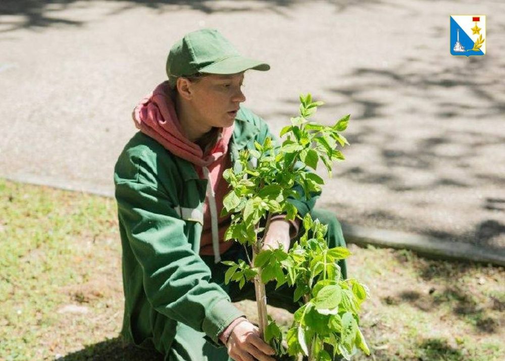 � ������ ������ ���� �������� ������� ����������