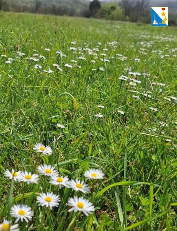 ���������� ����������������, ��� ����������� ��������� ���� � ������� ��������� � ��� ������ �������� ������� ������� ������������ ����� �������� ������� ��������������� ����� - ��������� ���������� �������